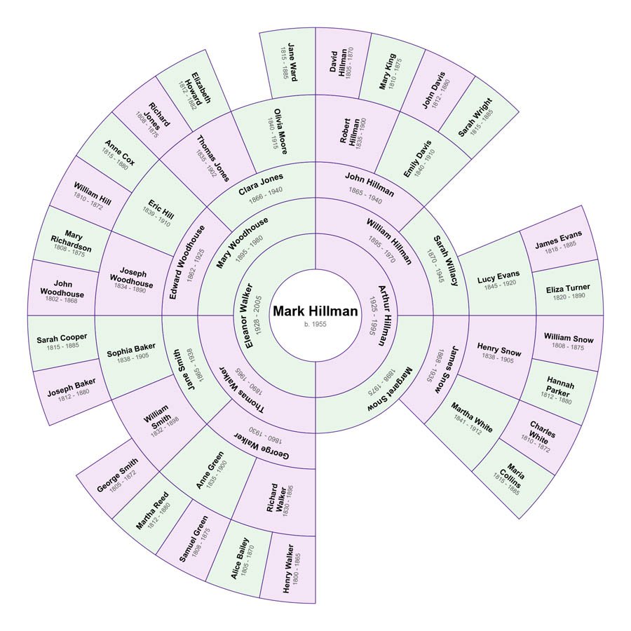 Colour Segment Chart